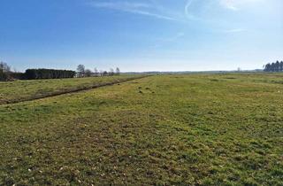 Gewerbeimmobilie kaufen in Süderwesterseite, 21775 Steinau, Grünlandflächen in Steinau Preis: VB