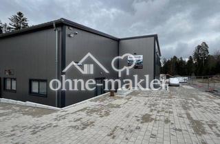 Geschäftslokal mieten in Benzstraße 15, 75328 Schömberg, Vielseitige Gewerbehalle + riesige Hoffläche