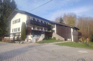 Wohnung kaufen in Klause, 94249 Bodenmais, Wohnung Souterrain und Hochparterre in Traumlage Bodenmais