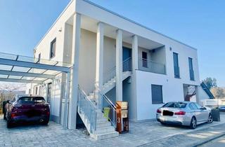 Wohnung mieten in Auf Dem Küppel, 65626 Birlenbach, Schicke 2-Zimmer Wohnung mit Balkon in Birlenbach