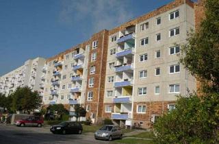 Wohnung mieten in Lindenallee, 18437 Vogelsang, Geräumige 3 Raumwohnung