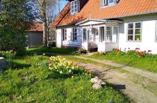 Haus kaufen in 24392 Scheggerott, +++ SCHLEI und OSTSEE in unmittelbarer Nähe! - Begeisternde Haushälfte in ländlicher Umgebung +++
