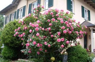 Haus kaufen in Pulverturmstraße, 84028 Peter und Paul, Von Privat - Verkaufe einzigartiges Stadthaus im Toskana-Stil