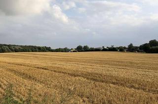 Bauernhaus kaufen in 23898 Sandesneben, Historisches Bauernhaus in Alleinlage nahe Hamburg - Privatverkauf -drei WE - Alleinlage