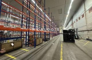 Gewerbeimmobilie mieten in 55232 Alzey, Lager/ Logistik - 9,50 m UKB - Kühlflächen von -26°C bis 5°C möglich