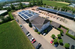Gewerbeimmobilie mieten in 37574 Einbeck, Vielseitige Gewerbeimmobilie in Einbeck
