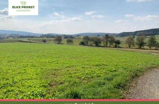 Gewerbeimmobilie kaufen in Samstagsweide, 92539 Schönsee, Solider Acker mit exzellenter Zufahrt