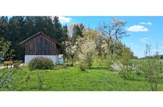 Bauernhaus kaufen in 84385 Egglham, Egglham - Bauernhof in Alleinlage zu verkaufen, Vierseithof, Sacherl