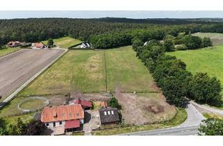 Haus kaufen in 49419 Wagenfeld, Wagenfeld - Resthof mit Weidefläche und Ausbaupotential in Wagenfeld