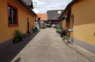 Haus kaufen in 67365 Schwegenheim, Schwegenheim - Haus mit erlaubter Pferdehaltung zu verkaufen