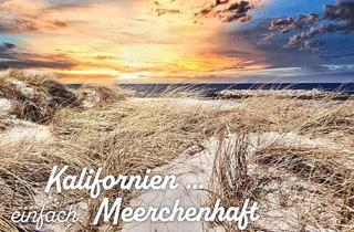 Wohnung kaufen in Osterwisch, 24217 Schönberg, Frisch sanierte 2 Zimmer Wohnung mit vollem Meerblick !