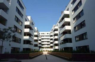 Wohnung mieten in Neanderstraße, 20459 Neustadt, Moderne Erdgeschosswohnung in der Hamburger Neustadt - Wentzel Dr.