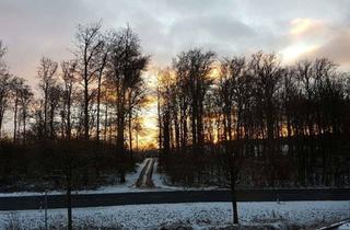 Wohnung mieten in Schillerstraße 20, 32816 Schieder-Schwalenberg, Gepflegte 3-Zimmer-Wohnung mit Balkon + EBK im 2. OG in Schieder-Schwalenberg