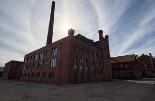 Wohnung mieten in Alte Diamant Brauerei, 39124 Neue Neustadt, Stilvolle 4-Zimmer- mit 2 Dachterrassen, Parkett, Tageslichtbad, Wa+Du und Stellplatz!