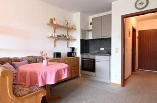 Wohnung mieten in 93339 Riedenburg, Möbliertes 1-Zimmer-Apartment mit neuer EBK und TG-Stellplatz in Gundlfing/Riedenburg