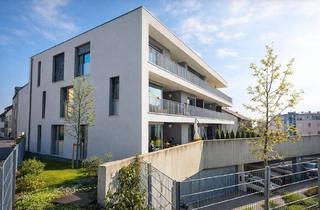 Penthouse mieten in 89075 Mitte, Penthouse-Wohnung am Michelsberg mit Weitblick und großer Dachterasse!