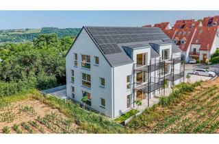 Wohnung mieten in Fichtelgebirgstraße, 93161 Sinzing, Single/Pärchen Whg. mit Terrasse