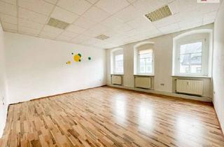 Wohnung mieten in 09619 Sayda, Geräumige Wohnung oder Praxis im Zentrum von Sayda zu vermieten!