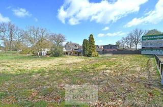 Grundstück zu kaufen in 27612 Loxstedt, Großes Baugrundstück für EFH/ZFH in Loxstedt-Hahnenknoop