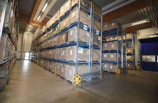 Gewerbeimmobilie mieten in 96524 Neuhaus-Schierschnitz, 1A-Produktionsstandort - Mietflächen ab 3.000 m²