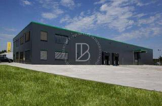 Gewerbeimmobilie kaufen in 64665 Alsbach-Hähnlein, "BAUMÜLLER AG" - Top Lage / Nähe A5 - ca. 700 m² Hallenfläche