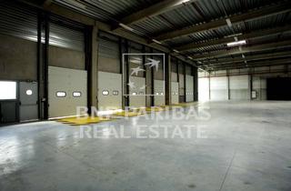 Gewerbeimmobilie mieten in 63814 Mainaschaff, Neubau-Logistikflächen mit perfekter Anbindung bei Aschaffenburg - PROVISIONSFREI