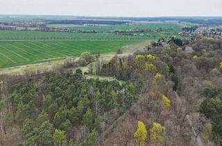 Grundstück zu kaufen in 15518 Steinhöfel, 1,6 ha forstwirtschaftliche Fläche