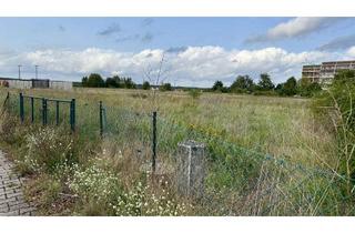 Grundstück zu kaufen in Hermann-Cohen-Ring 16, 06869 Coswig, PROVISIONSFREI|Erschlossenes Baugrundstück mit Blick ins Grüne - ideal für Ihr Bauprojekt