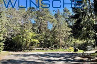 Grundstück zu kaufen in 21220 Seevetal, Attraktives Baugrundstück in leichter Anhöhe und begehrter Villenlage von Seevetal-Ramelsloh