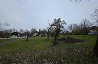 Grundstück zu kaufen in Hohenstaufenstrasse, 73491 Neuler, Grosses Grundstück mit Obstbaumbestand, Zentrale Ortsrandlage