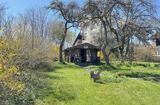 Grundstück zu kaufen in 82299 Türkenfeld, Baugrundstück in Türkenfeld - sofort bebaubar mit sonniger Südwestausrichtung