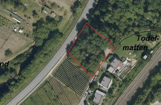Grundstück zu kaufen in 79415 Bad Bellingen, Freizeitgrundstück