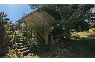 Gewerbeimmobilie kaufen in 01816 Bad Gottleuba, Idyllisches Gartengrundstück auf Eigenland in ruhiger Waldlage Berggießhübel