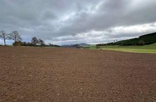 Gewerbeimmobilie mieten in 58802 Balve, Landw. Nutzflächen und Forst in Balve