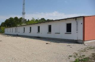 Büro zu mieten in 15890 Eisenhüttenstadt, Komplettes Firmengelände! Büros? Firmensitz? Geschäft? Lager? Oder Freigelände nutzen? Bitte sehr!