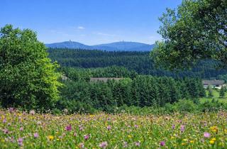 Gewerbeimmobilie kaufen in 38700 Braunlage, Investment: Baugrundstück | Blick auf den Brocken | Baugenehmigung für 4 Ferienhäuser inklusive!