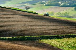 Gewerbeimmobilie kaufen in 97993 Creglingen, Ackerfläche in Creglingen - Finsterlohr