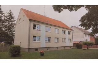 Wohnung mieten in Ganzliner Strasse 10b, 19395 Plau, Moderne 2-Zimmer-Dachgeschosswohnung Nähe Plau am See