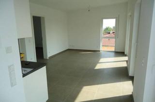 Wohnung mieten in 86609 Donauwörth, Helle 2-Zimmer-Wohnung mit großer Dachterrasse im 2. OG in Donauwörth