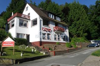 Gewerbeimmobilie kaufen in 37539 Bad Grund, Gut gehende Pension