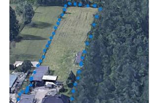 Einfamilienhaus kaufen in 47877 Willich, freistehendes Einfamilienhaus auf 5000 m² Grundstück mit Entwicklungspotential
