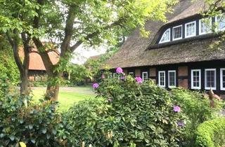 Haus kaufen in 27327 Schwarme, Bauernaus mit saniertem Reetdach, großem Grundstück 2 Scheunen und Bauplatz