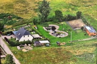 Einfamilienhaus kaufen in 19089 Demen, Einfamilienhaus in waldreicher Ortsrandlage mit 5 Zimmern, Carport und großem Grundstück