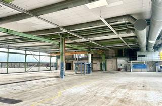Büro zu mieten in Gewerbestraße, 90579 Langenzenn, Große Lagerhalle mit angrenzender Bürofläche zu vermieten!