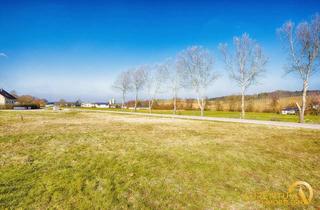 Grundstück zu kaufen in 93359 Pürkwang, Voll erschlossenes Grundstück mit 669 m² Grundstücksfläche -ohne Bauzwang- zu verkaufen.