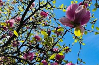 Wohnung mieten in 59457 Werl, Gepflegter Wohnkomfort einer EG-Wohnung in ruhiger Nachbarschaft von Werl-Büderich