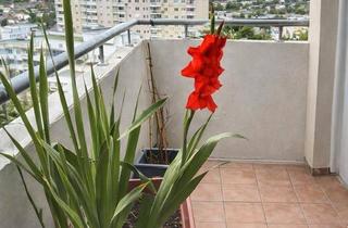 Wohnung kaufen in 63071 Offenbach am Main, Offenbach am Main - Von Privat 3-Zimmer-Wohnung mit Skylineblick in Offenbach