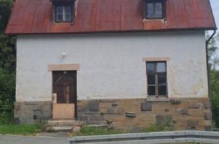 Haus kaufen in 08209 Auerbach, Auerbach/Vogtland - Wasserturm zur Selbstverwirklichung(Muldenhammer)