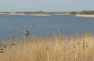 Wohnung mieten in 17493 Riems, nur wenige Meter bis zum Wasser 3.ZKB mit 58 qm