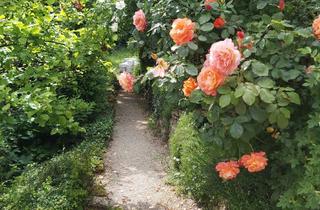 Wohnung mieten in 96450 Seidmannsdorf, Modernisierte 2-Zimmer-Gartenwohnung mit zwei Terrassen, EBK und modernem Bad in Coburg